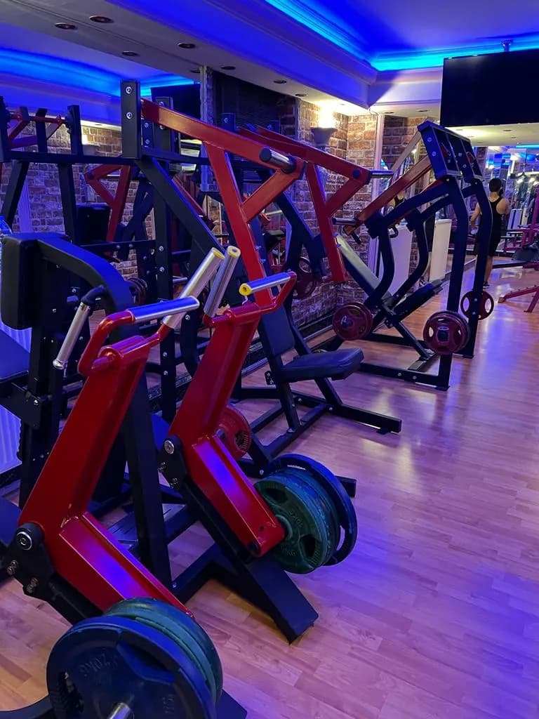 World Body Gym profesyonel vücut geliştirme ekipmanları